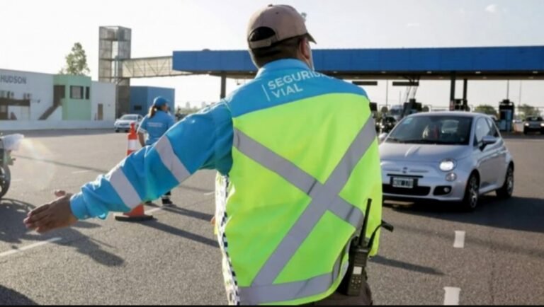 Las provincias tendrán 60 días para implementar el scoring en sus licencias de conducir
