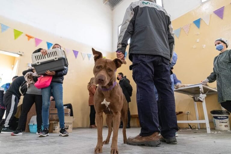 Barrio 30 de octubre: Está  funcionado el trailer de esterilización canina