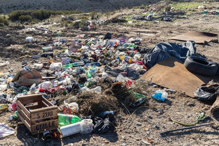 Basurales clandestinos: erradicaron 900 bateas con residuos