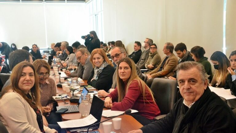 Boleta Única de Papel: la oposición logró el dictamen de mayoría en Diputados