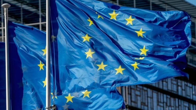 La Unión Europea anunció que brindará un “fuerte apoyo” al ingreso de Finlandia y Suecia a la OTAN