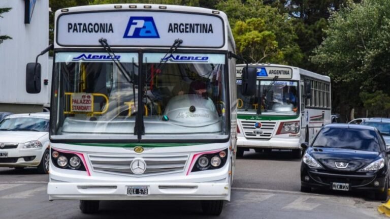 El Gobierno reducirá los subsidios a las empresas de colectivos