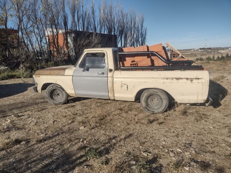 Fue sorprendido mientras cargaba los ladrillos de su vecino en la camioneta