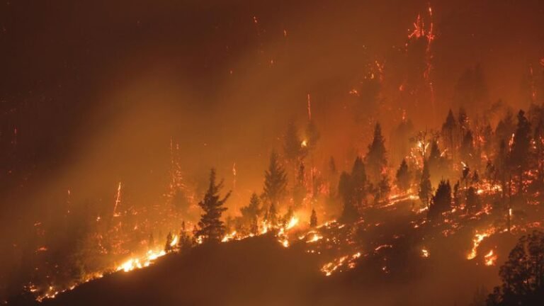 No irán presos los seis turistas que provocaron el incendio de 8.000 hectáreas entre El Bolsón y El Maitén