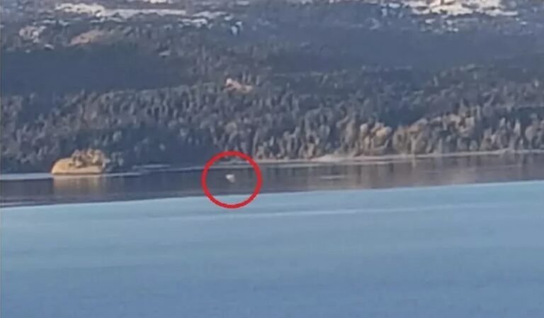 ¿Volvió Nahuelito? Captaron una inusual silueta sobre el lago que causó revuelo en Bariloche