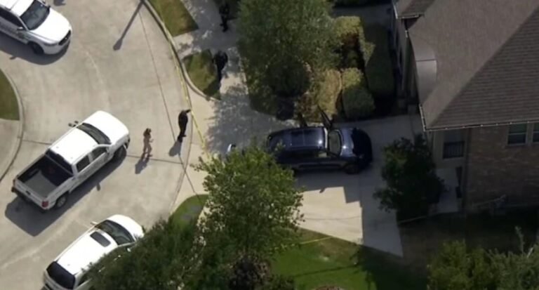 Un nene de 5 años murió de calor luego de que la madre se lo olvidara dentro del auto