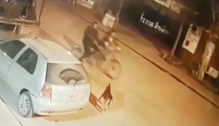 Circulaba en bicicleta, un perro le ladró, sacó un arma y lo mató de un tiro