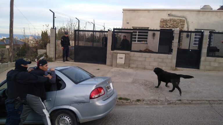 Dos detenidos tras intentar robar una casa