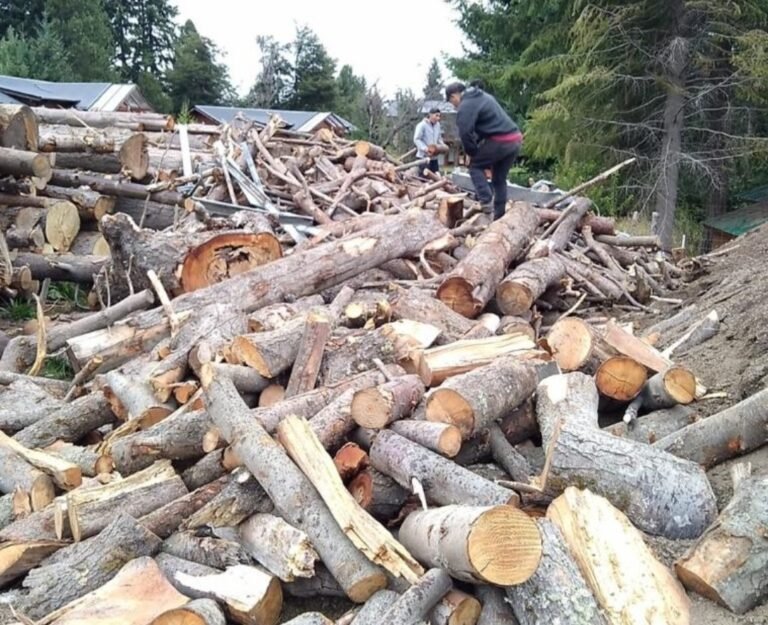 Más de 1200 personas afiliadas a PAMI serán beneficiadas por el plan “Calor Mayor”