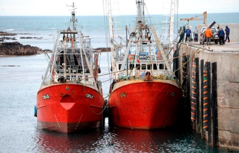 Accidente en el Puerto de Camarones: un operario falleció y otro resultó herido