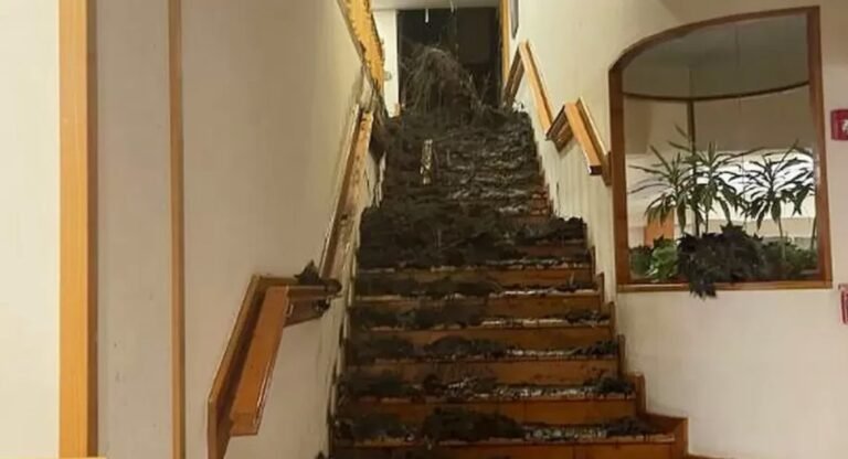 Alud dentro de un hotel en Bariloche: falleció un turista y continúa la búsqueda de huéspedes