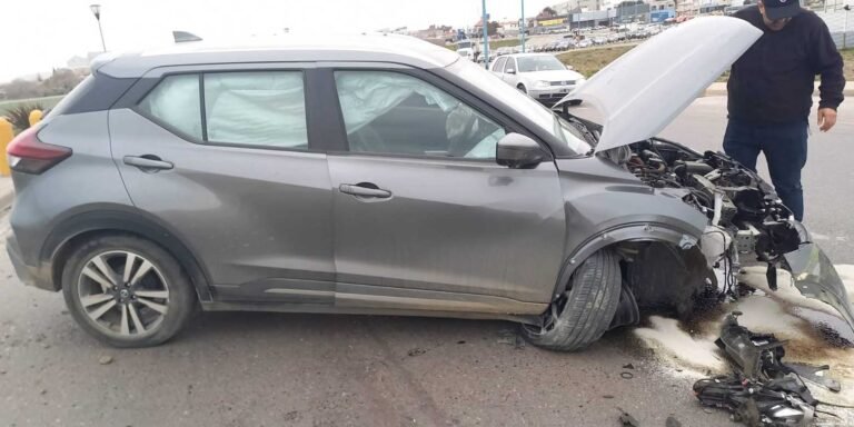 Se desvaneció, despistó y chocó