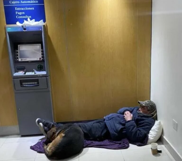 Proponen crear un refugio para personas en situación de calle