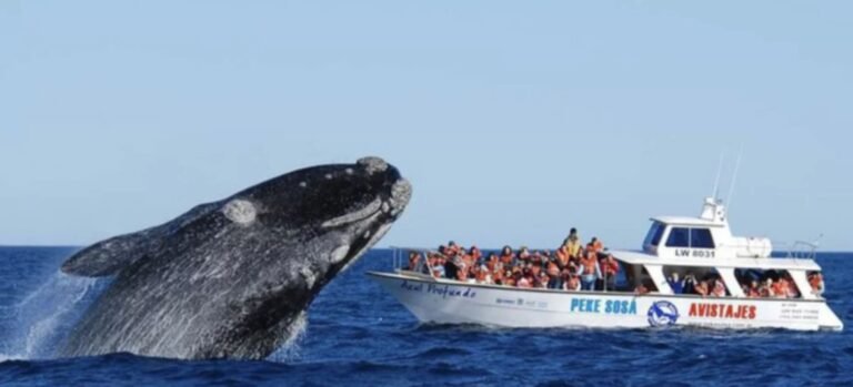 Chubut tuvo un histórico fin de semana en materia turística