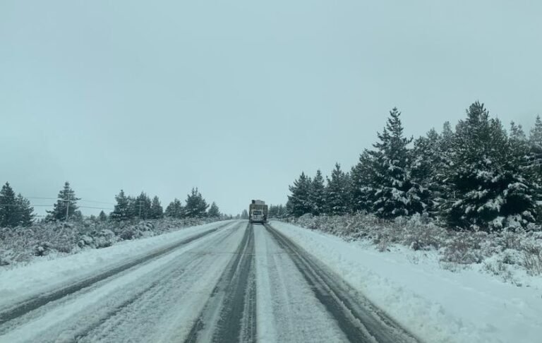 Ante el pronóstico de temporal de nieve realizarán un corte preventivo en Rutas nacionales