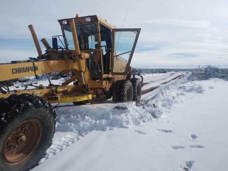 Tras el temporal de nieve, este lunes no habrá actividades en los establecimientos de la Región I y III