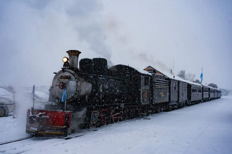 La Trochita 100 años de historias patagónicas