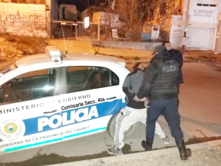 Tras agredir a policías le encontraron un arma entre sus prendas “para defenderse”