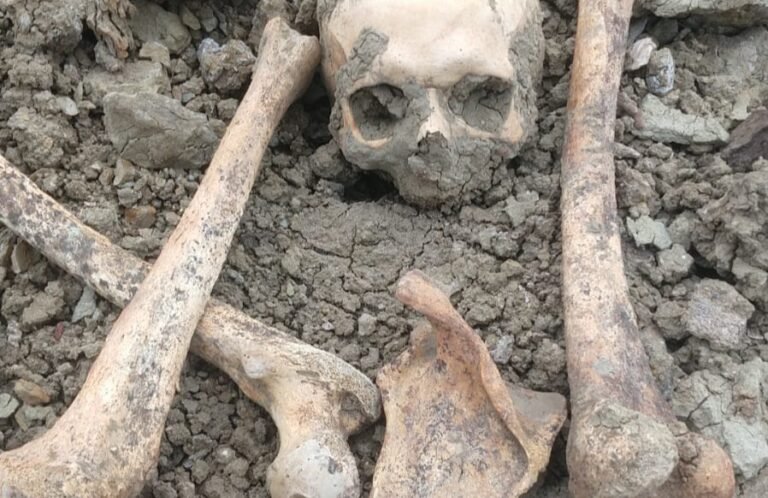 Estaba pescando y encontró restos óseos