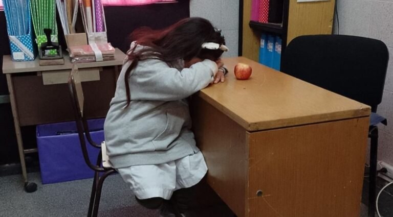 Bullying escolar: Tiene 6 años, sus compañeros le depilaron una ceja y no quiere ir a la escuela