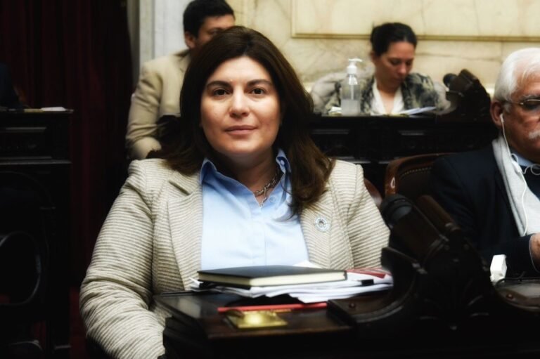 Romero: “La improvisación de este gobierno es una cuenta que pagamos todos los argentinos”