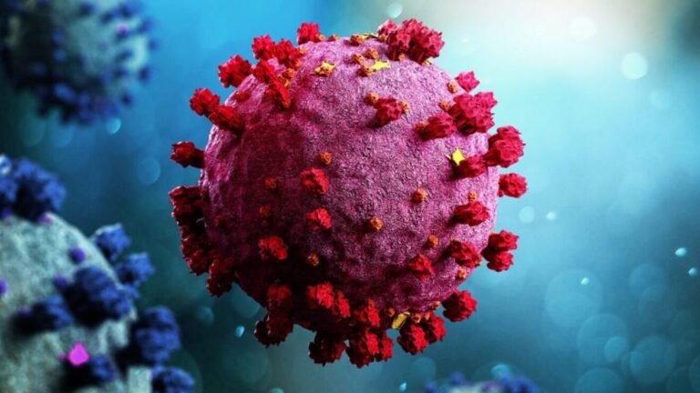 La variante “perro del infierno” de Ómicron representa a uno de cada 3 casos positivos en Argentina