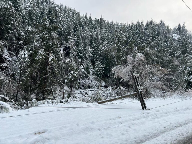 La energía tardaría hasta 5 días en volver en la Comarca Andina