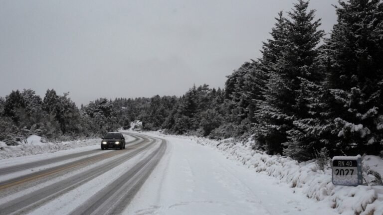 Alertas amarillas por fuertes vientos, nevadas y tormentas en 7 provincias