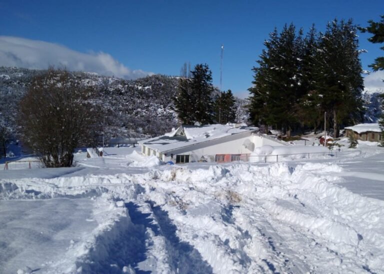 Murió una niña por Hantavirus en Esquel