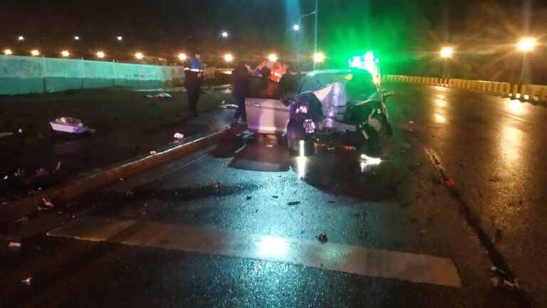 Lesionados tras chocar contra una palma