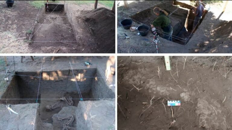 Hallaron el primer enterramiento de una mujer mapuche en una canoa, con 900 años de antigüedad