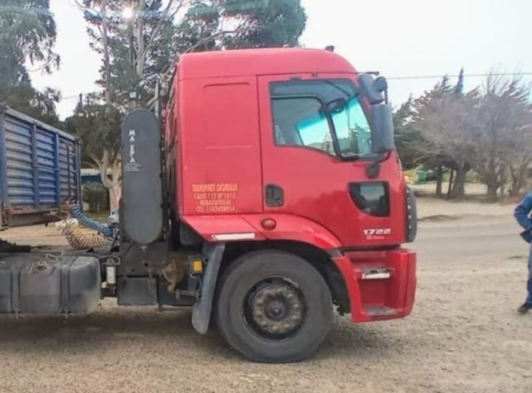 Secuestraron el camión que provocó una muerte en Ruta 3
