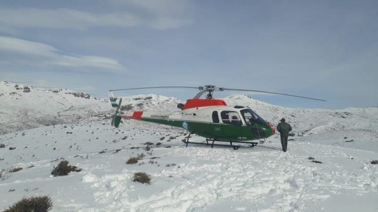 Montaron un operativo aéreo para asistir a familias aisladas