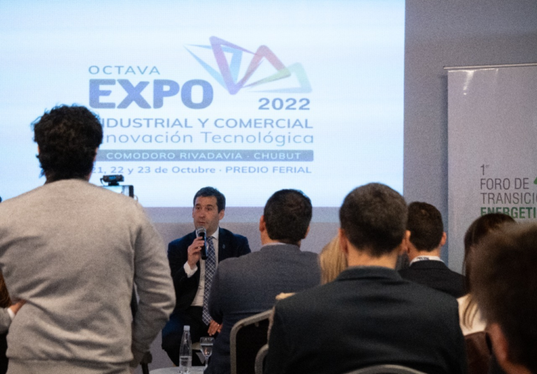 Luque resaltó la importancia que tiene la Patagonia en la transición energética