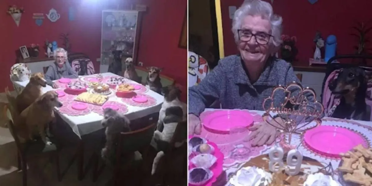Cumplió 89 años y decidió festejarlos rodeada de sus 10 perros
