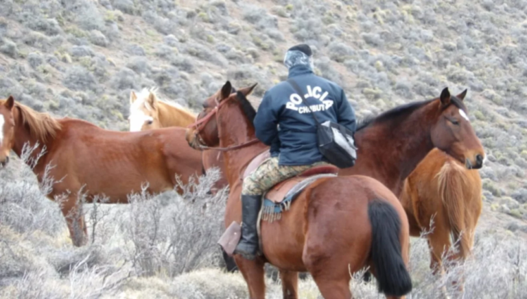 Continúa la búsqueda de José Crettón en la Comarca Andina