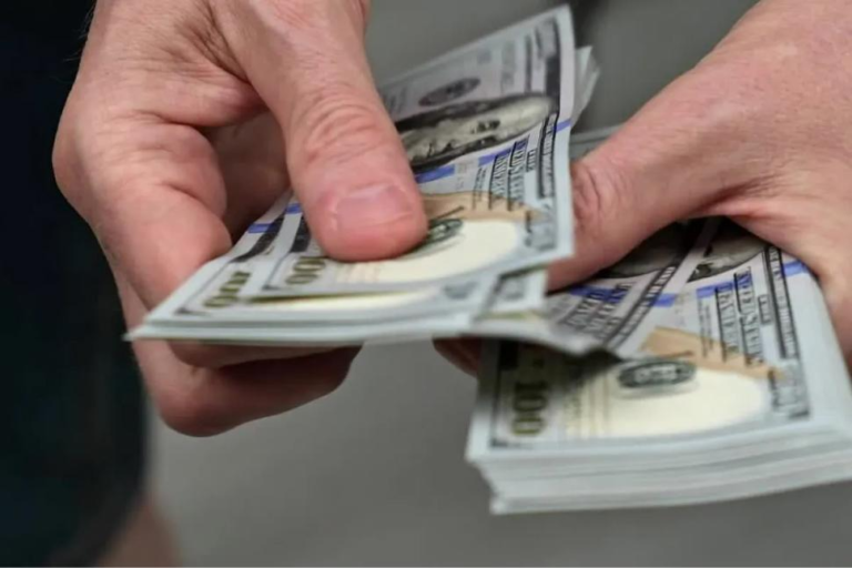 Dólar ahorro: 18.000 hogares renunciaron a los subsidios para poder comprar dólares