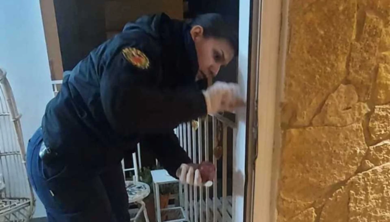 Detuvieron a uno de los sospechosos por el robo a un empresario en Madryn