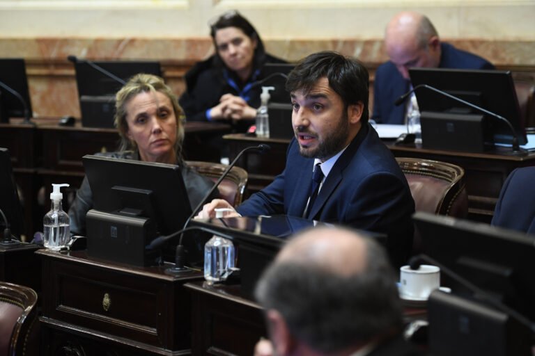 El Senado aprobó por unanimidad el proyecto de Torres y Terenzi por el asesinato de “Tino” John