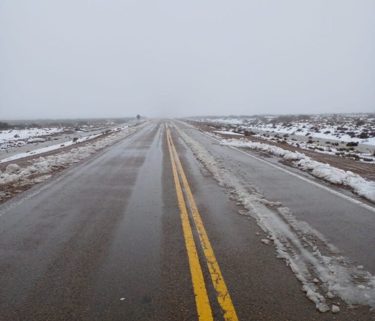 Rutas habilitadas