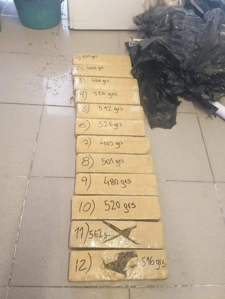 Detuvieron a una persona y secuestraron casi 10 kilos de marihuana en la terminal de Ómnibus