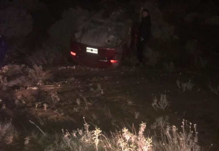 Volcó por esquivar a un perro