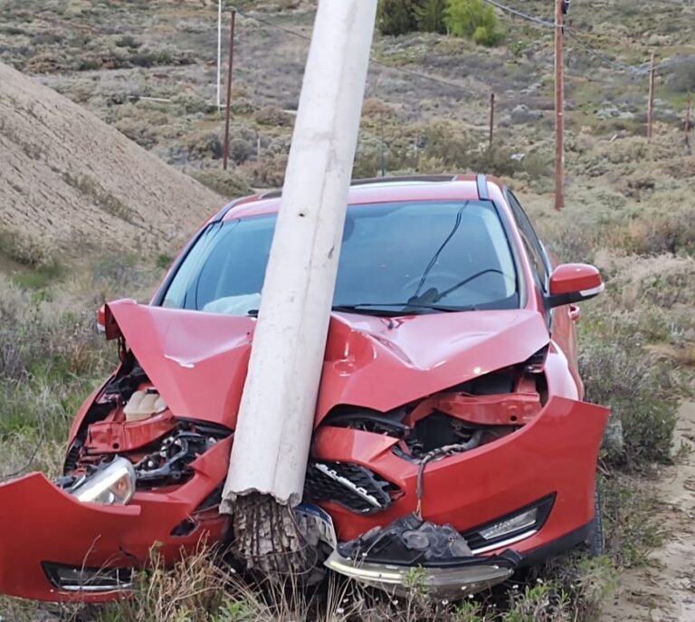 Chocaron contra una palma y abandonaron el vehículo