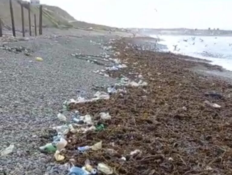 Vecinos convocan a una limpieza de playas