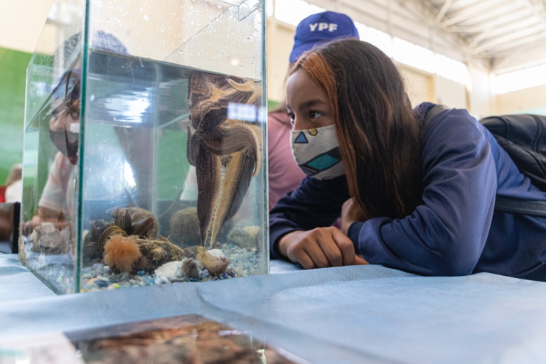 “La Playa en tu Barrio”: organizan una jornada recreativa en Astra