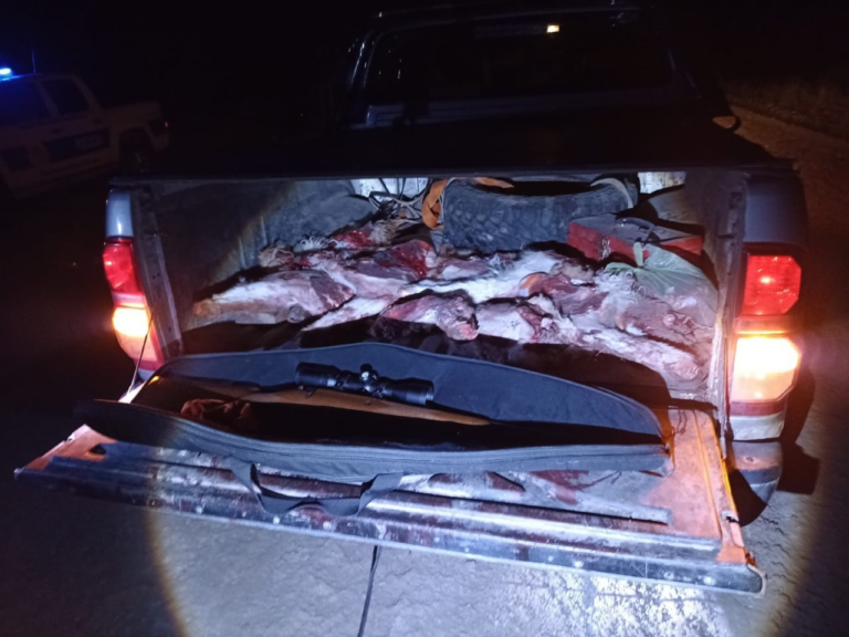 Lo detuvieron en un control y le hallaron carne de guanaco faenada