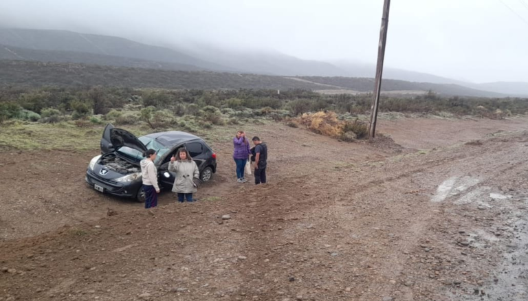 Ruta 39: intentó esquivar unos perros y volcó