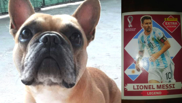Ofrece la figurita de Messi como recompensa para recuperar al perro de su amiga