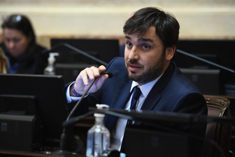 Torres pidió declarar la emergencia fitosanitaria en la cordillera para frenar el avance de la tucura