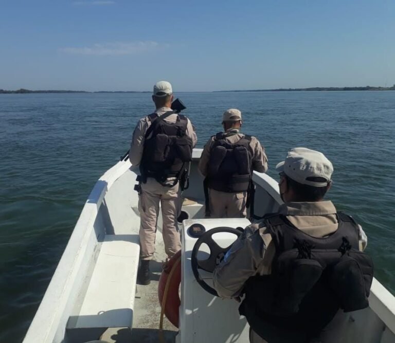 Pesca ilegal: Prefectura continúa realizando operativos